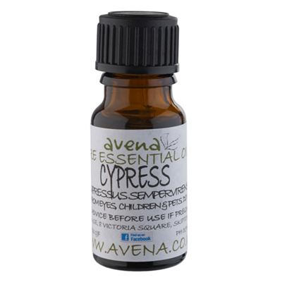 Cypress Essential Oil (Cupressus sempervirens)